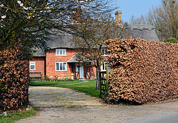 79 Upton End Road April 2015